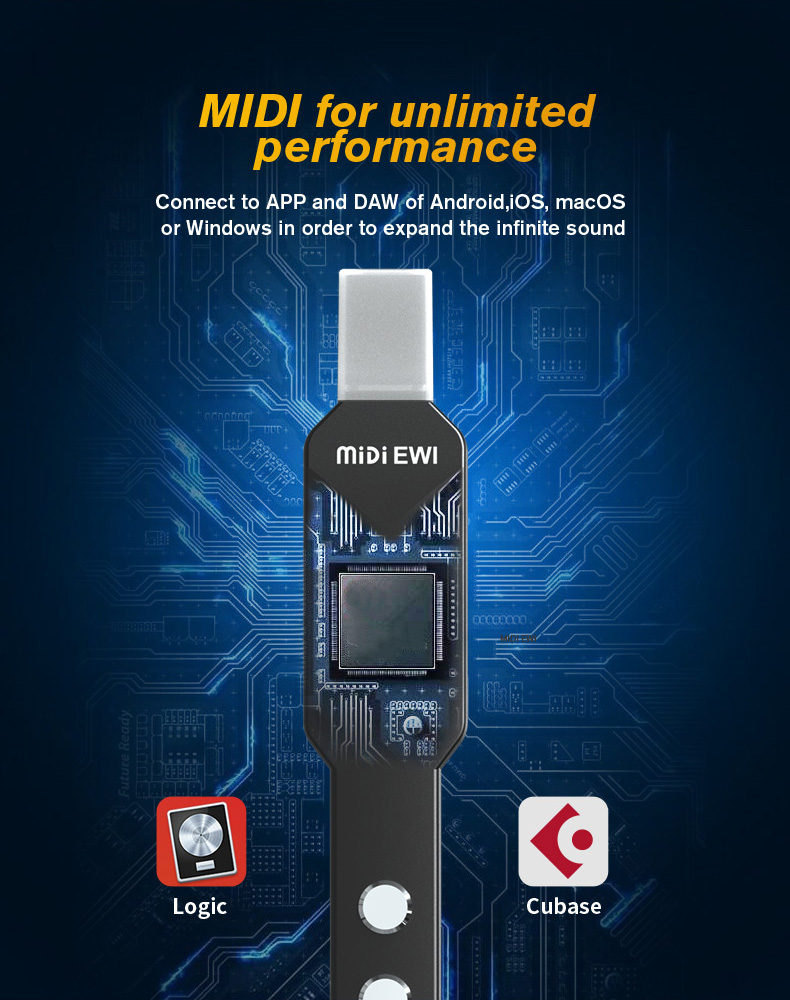 upgrade Mini Digital Electroni - Musical Instrument Lute incelemesi ve fiyatı