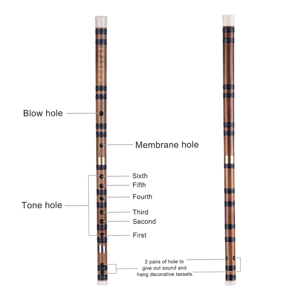 Pluggable Handmade Bitter Bamb - Musical Instrument Lute incelemesi ve fiyatı