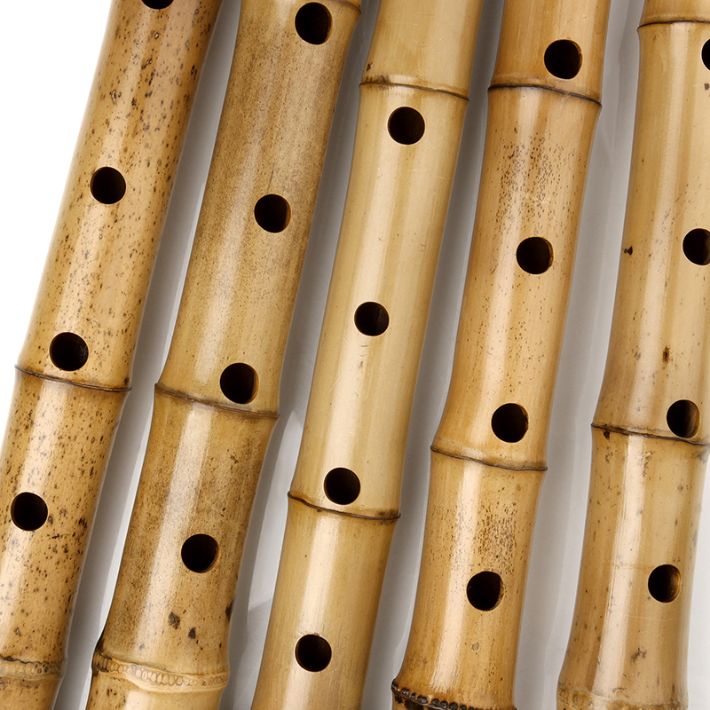Vertical Bamboo Flute with Sha - Musical Instrument Lute incelemesi ve fiyatı